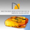 Deutsches Bernsteinmuseum RD
